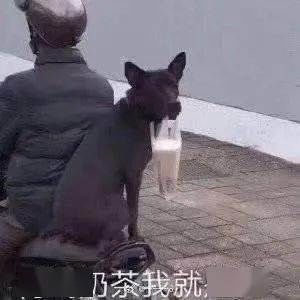  吸管|换掉吸管？吨吨吨吨，奶茶新喝法！