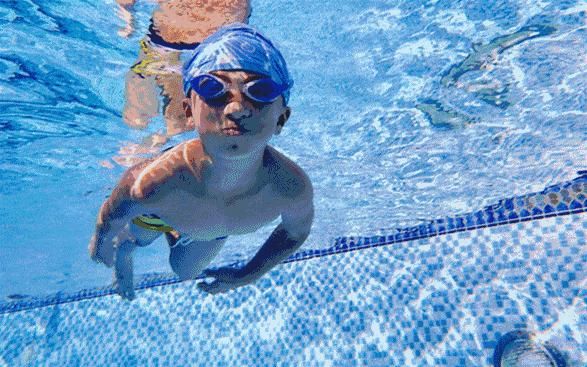  游泳池|不游泳，不夏天！苍南县各游泳池（馆）大盘点！