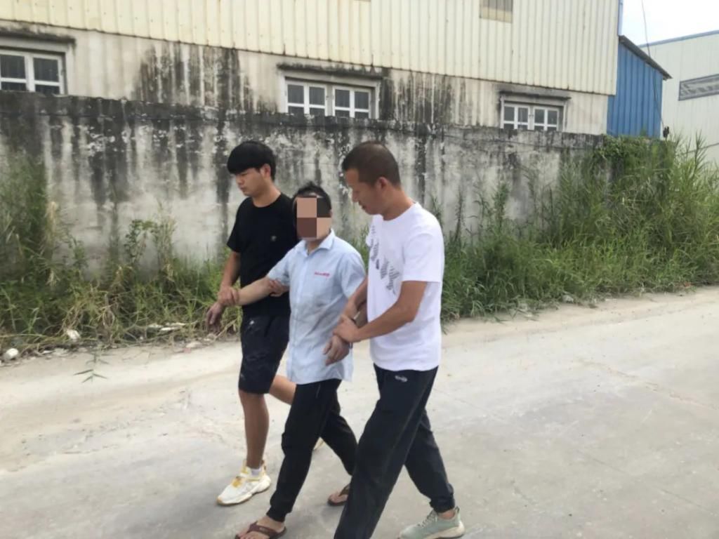 苍南|1死多伤，他被抓回苍南！