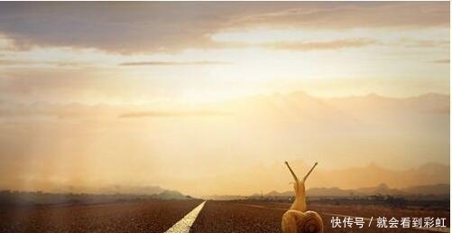 不负|不负梦想,唯有坚持