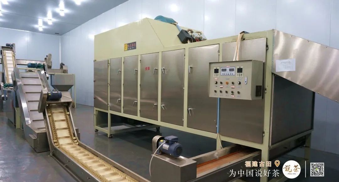 茶香|古田红茶:百年历史 茶香再次飘扬