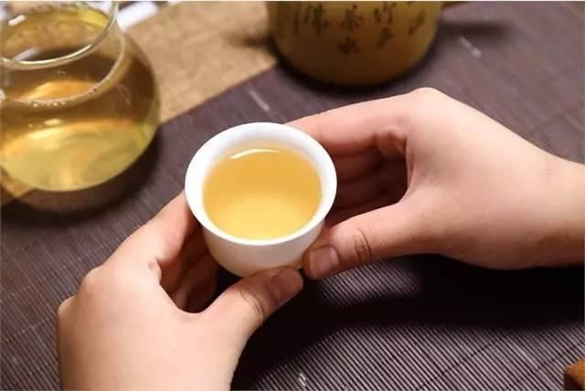 普洱茶|想真正了解普洱茶，这么掌握这些知识