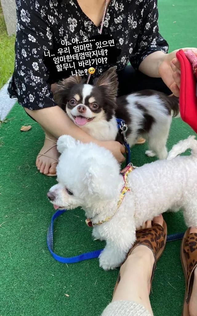  动态|runningman最新资讯：最新期收视率，金钟国动态更新