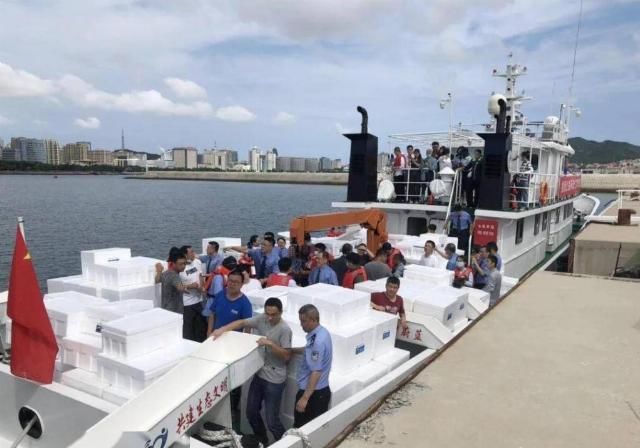  鱼苗|“走近一线检察官”直播活动：检察官见证百万鱼苗入黄海