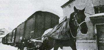 慈禧|慈禧第1次坐火车提出了3个要求，结果让当时的洋人哭笑不得！