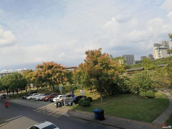 文明|曝光!恶意划车、违停堵路、占用公共停车位...