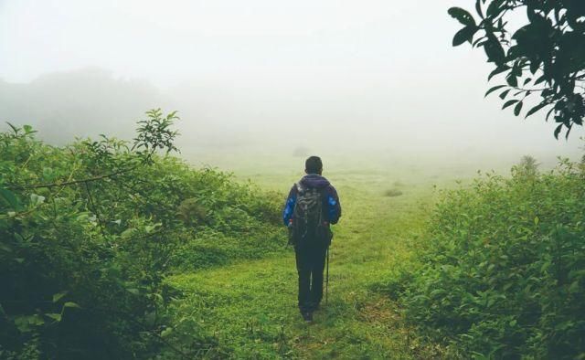 生长|云之南，一个生生不息、万物生长的地方