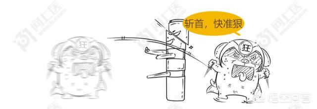  肌肉|为啥狂犬病无法治疗？被咬伤后又该咋处置预防狂犬病？清晰明了