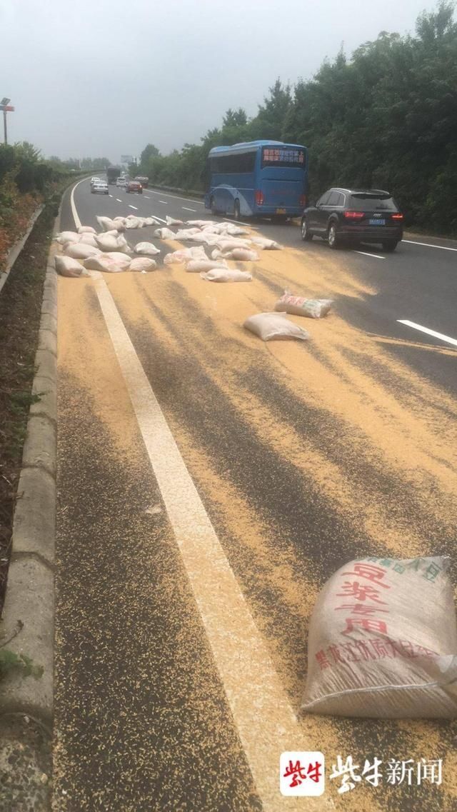  面粉|货物捆扎不牢，黄豆、面粉“铺”满高速路