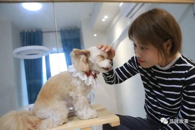  这届|23岁农村女孩年入1亿，这届大学生有多野？