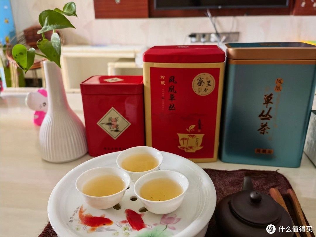 晚上熬夜，白天喝茶，将朋克养生进行到底！2023