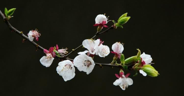  无忧|8月开始财富翻番，事业顺风顺水，一生富贵无忧的四大属相