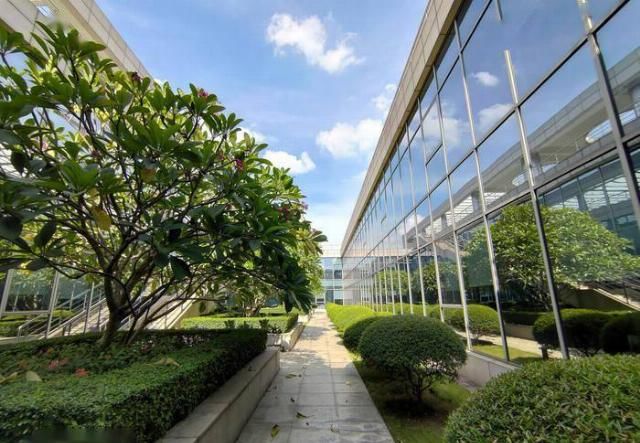  捧上天|鱼龙混杂？被手游党捧上天的新机真有那么香吗？