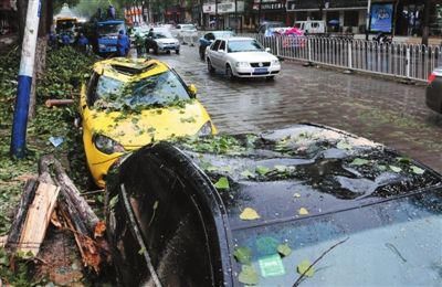  洪水|南方暴雨私家车遭了殃，被树砸水淹的汽车，保险公司能赔么？