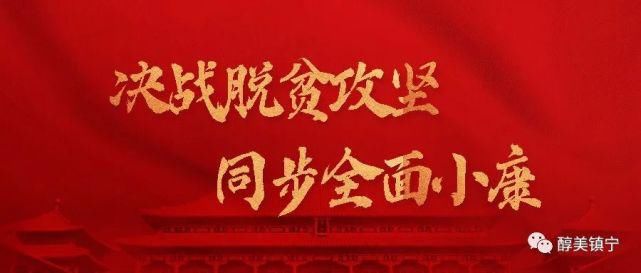  宣传|镇宁自治县市场监督管理局开展野生菌中毒防控知识宣传活动