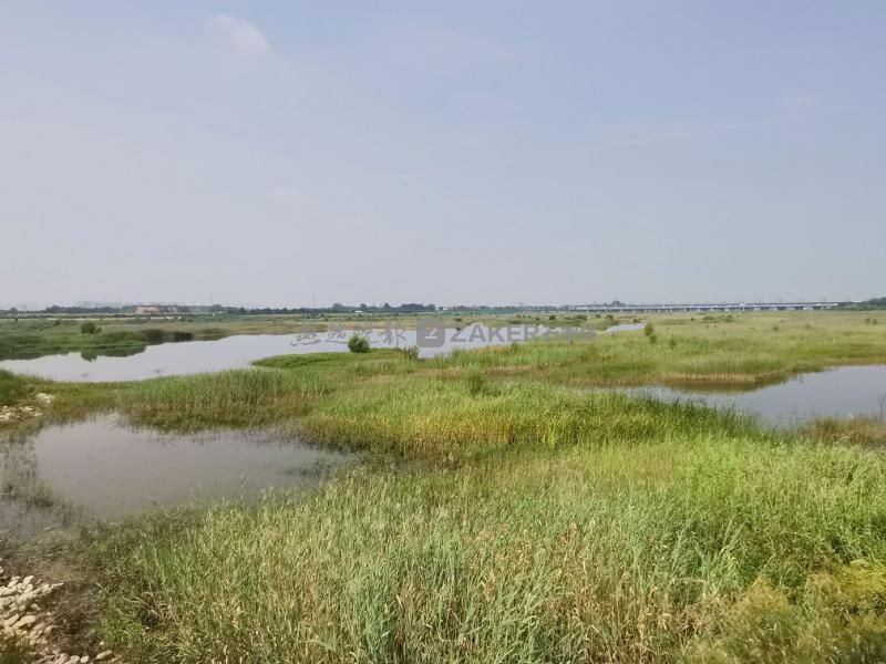 滹沱河800米橡胶坝坍坝 可御50年一遇洪水|探访 | 滹沱河内嬉