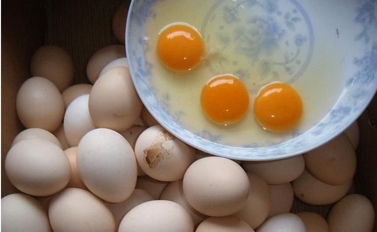 超市|去超市买鸡蛋，选白壳还是红壳好？超市员工说漏嘴，别再买错了