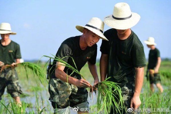 支队|武警江西总队宜春支队爱民助民暖民心