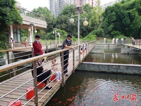  洪峰|他们说：洪峰从家门口经过，我们怎么一点感觉都没有