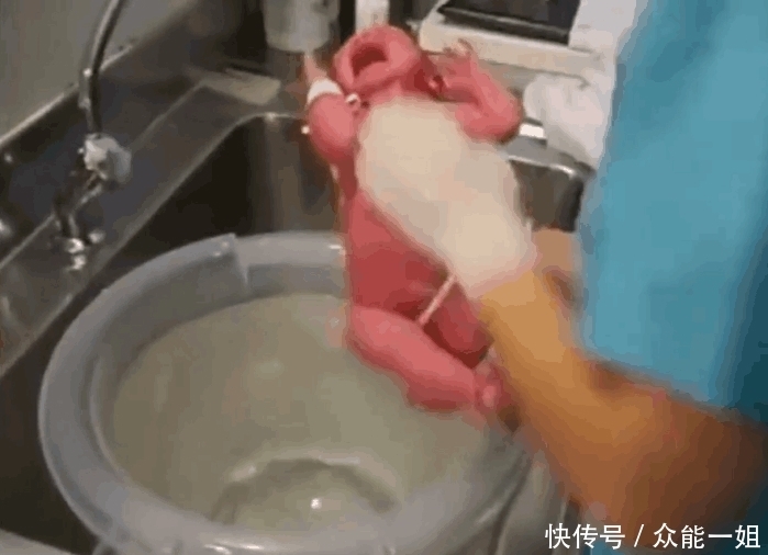 孩子|护士帮新生儿洗澡, 看着都害怕！