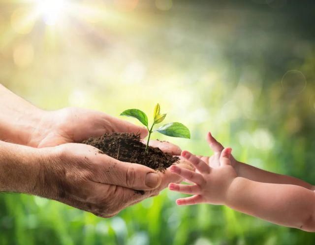  家长|一场突发车祸：1个孩子死亡，6个孩子重生，1000万家长陷入沉默……