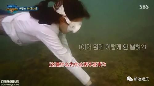  资格去采|每次都是艺人背锅，实惨！