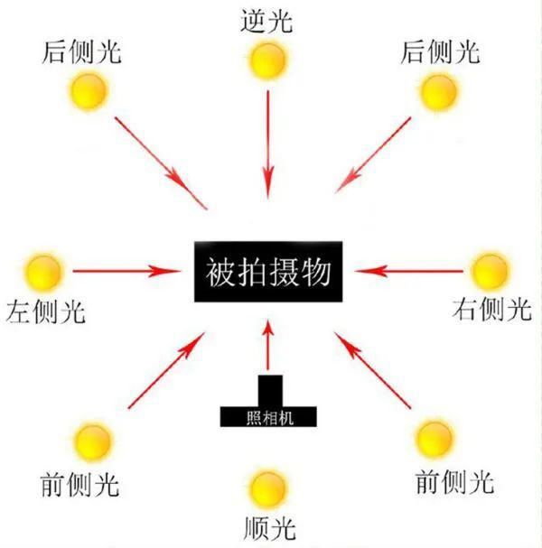  模特|【摄影讲评】顺光、侧光、逆光怎么用 第1268讲？