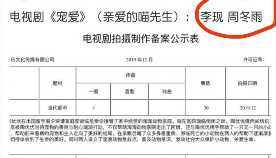  爆款|豪华阵容！周冬雨王一博或将合作电视剧《宠你》，又是爆款预定？