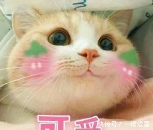 star|看了小鬼这段表演,才知道什么叫做真正的Rap star