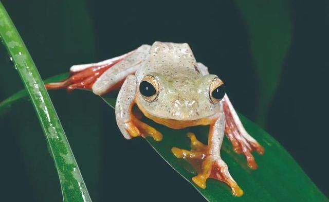 生长|云之南，一个生生不息、万物生长的地方