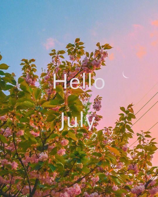  清新|清新风景背景图|Hello July下半年一切顺利