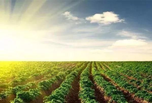 很快|十年农业九年赔钱,赚钱不易赔钱很快