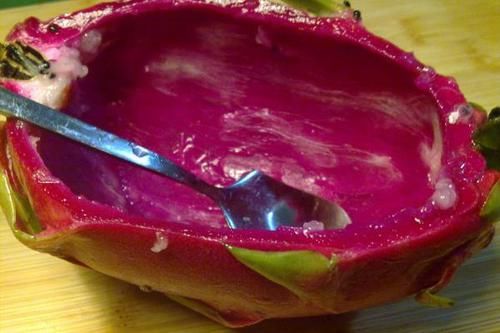  从不|你吃完火龙果后，直接把皮丢掉吗？要知道我从不丢。