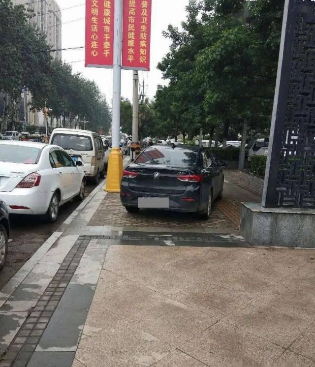  出行|【百姓大爆料】河面飘浮垃圾市民希望快清理|排查危险树木确保市民降雨天出行安全|汽车停这儿 人走哪儿？