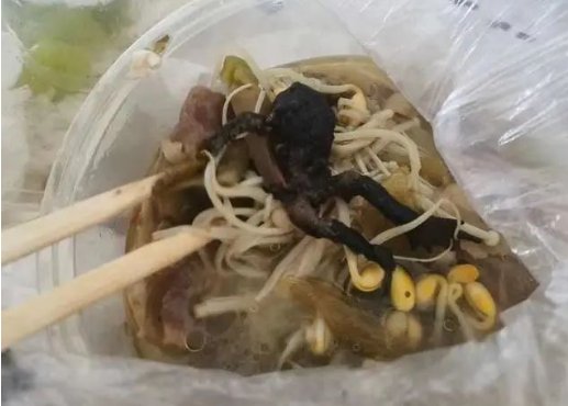 女子|“天呐，癞蛤蟆！”女子点了份外卖，看吐上万人，商家回应让人窒息！
