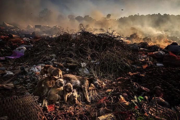  赛级|赛级摄影作品讲述的也不过是不同的生活罢了