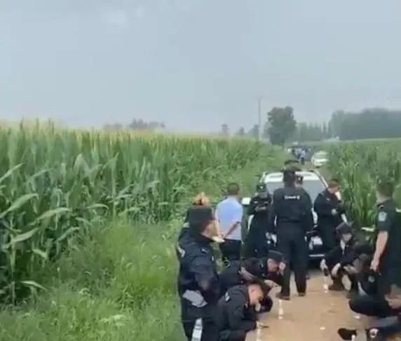  嫌犯|抓到了！12岁女孩遭绑架杀害，嫌犯索要赎金100万元