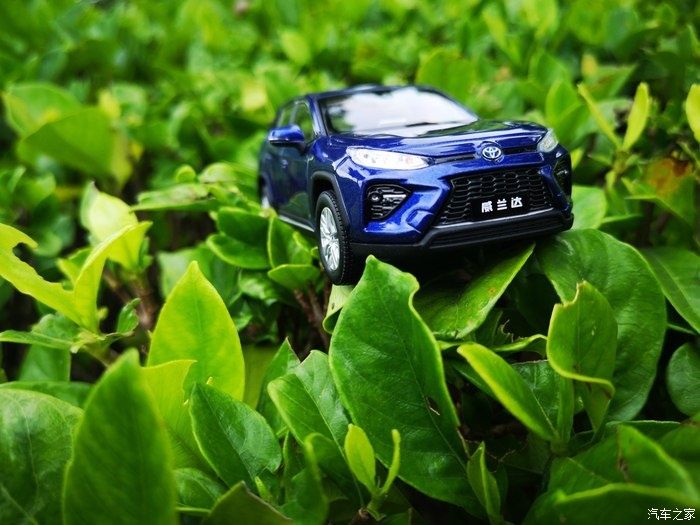 拍摄|拥有威兰达车模,绽放花丛中,说说感受