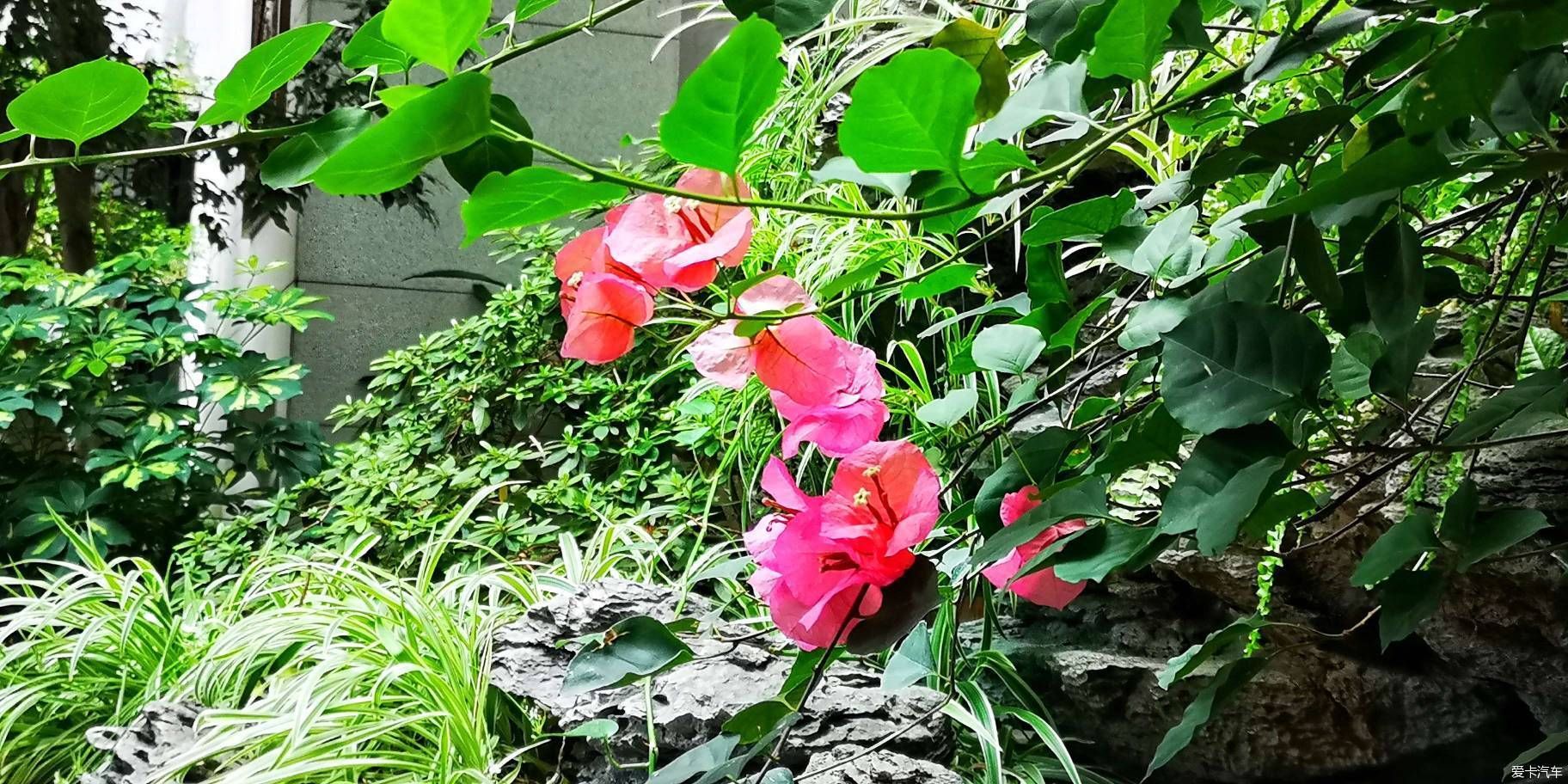  博物馆|游览中国园林博物馆