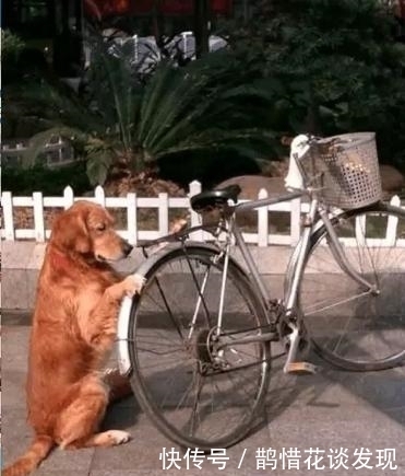 时不时|开心一刻:有一同事挺有钱,时不时就有人问他借一点应急什么的