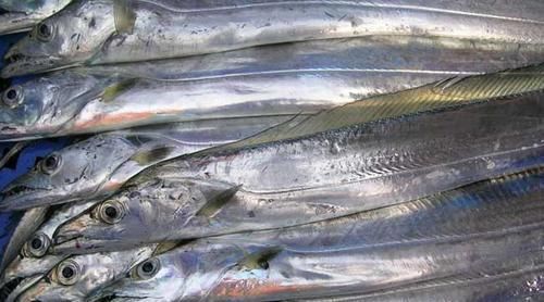  海鲜|买带鱼时，遇见这“3种”千万别买，海鲜老板：反正我不让家人吃