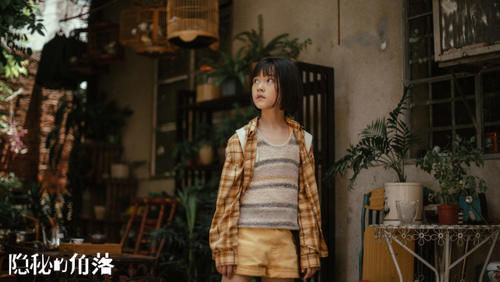 大结局|网剧《隐秘的角落》大结局是什么意思?普普没有死?