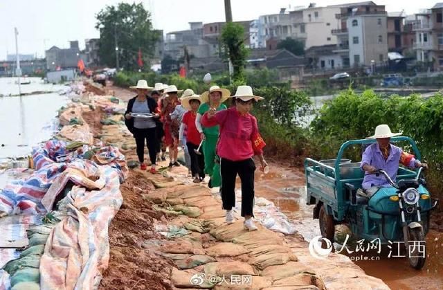  不想|洪水来了，最不想看到的一幕发生了……
