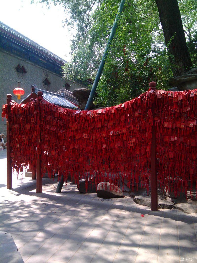 合集|周末一天逛逛吃吃合集!