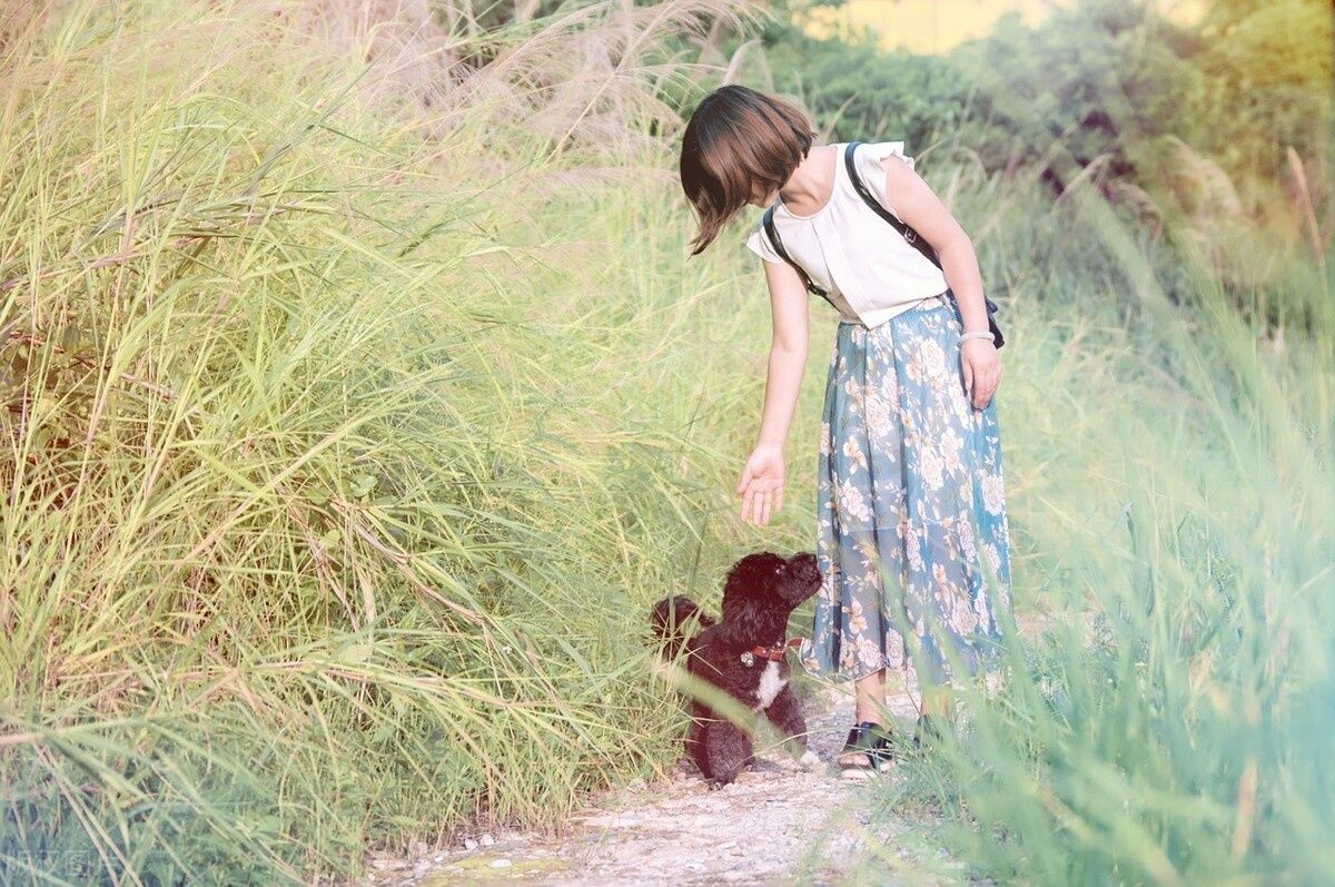 回来|异乡人：秋天了，故乡等你回来晒太阳