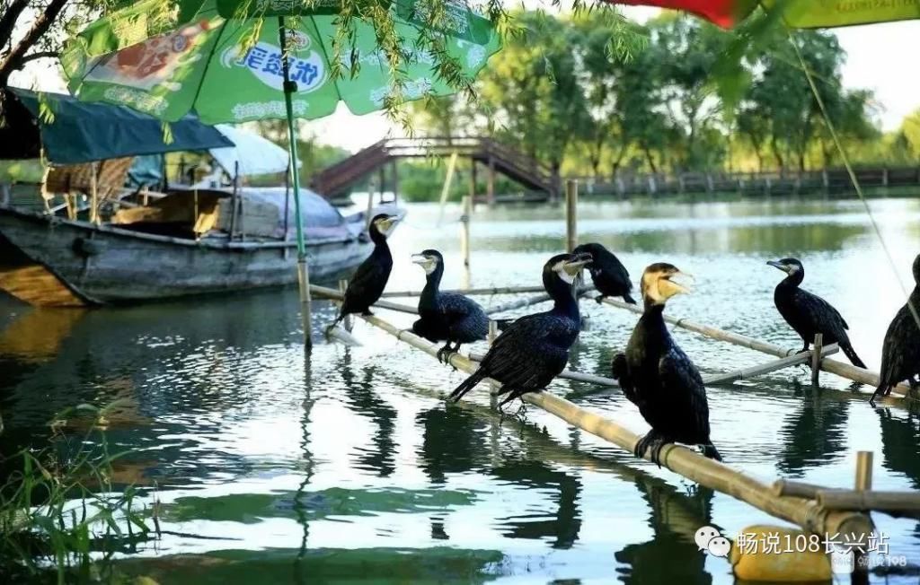  综艺节目|男人都喜欢的性感明星来长兴啦！在这个景区拍电视节目