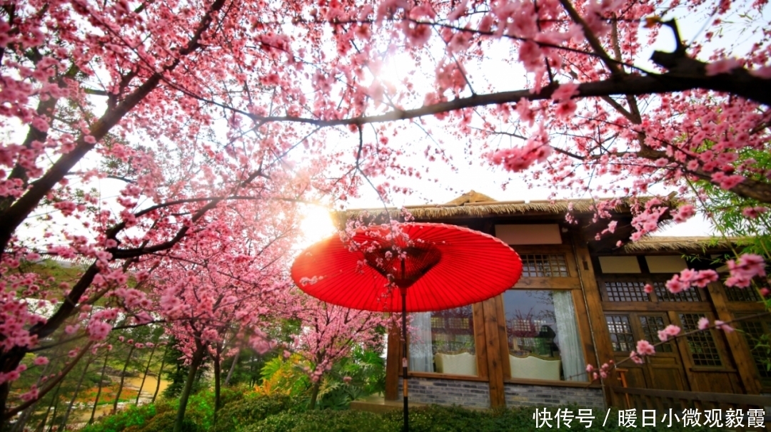 浅谈|浅谈秀丽东方IP对成都公园城市建设的借鉴作用