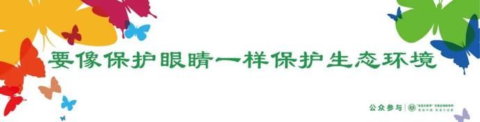  地铁|2019优秀生态环境宣传产品 ｜《“生态文明号”地铁专列海报——公众参与》（河北）