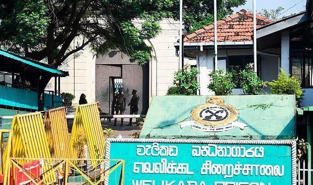 监狱|厉害了!某监狱犯人居然利用猫咪“贩毒”,胆子是真的大