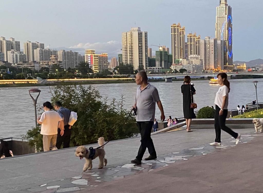 煞风景|不文明旅游曝光台丨不文明遛狗行为煞风景